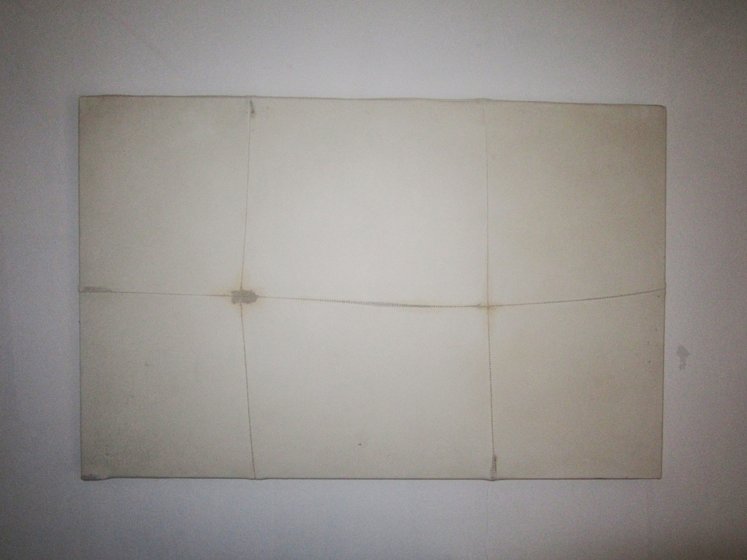 Collezione Nancy Delroi, Genetic Exhibition