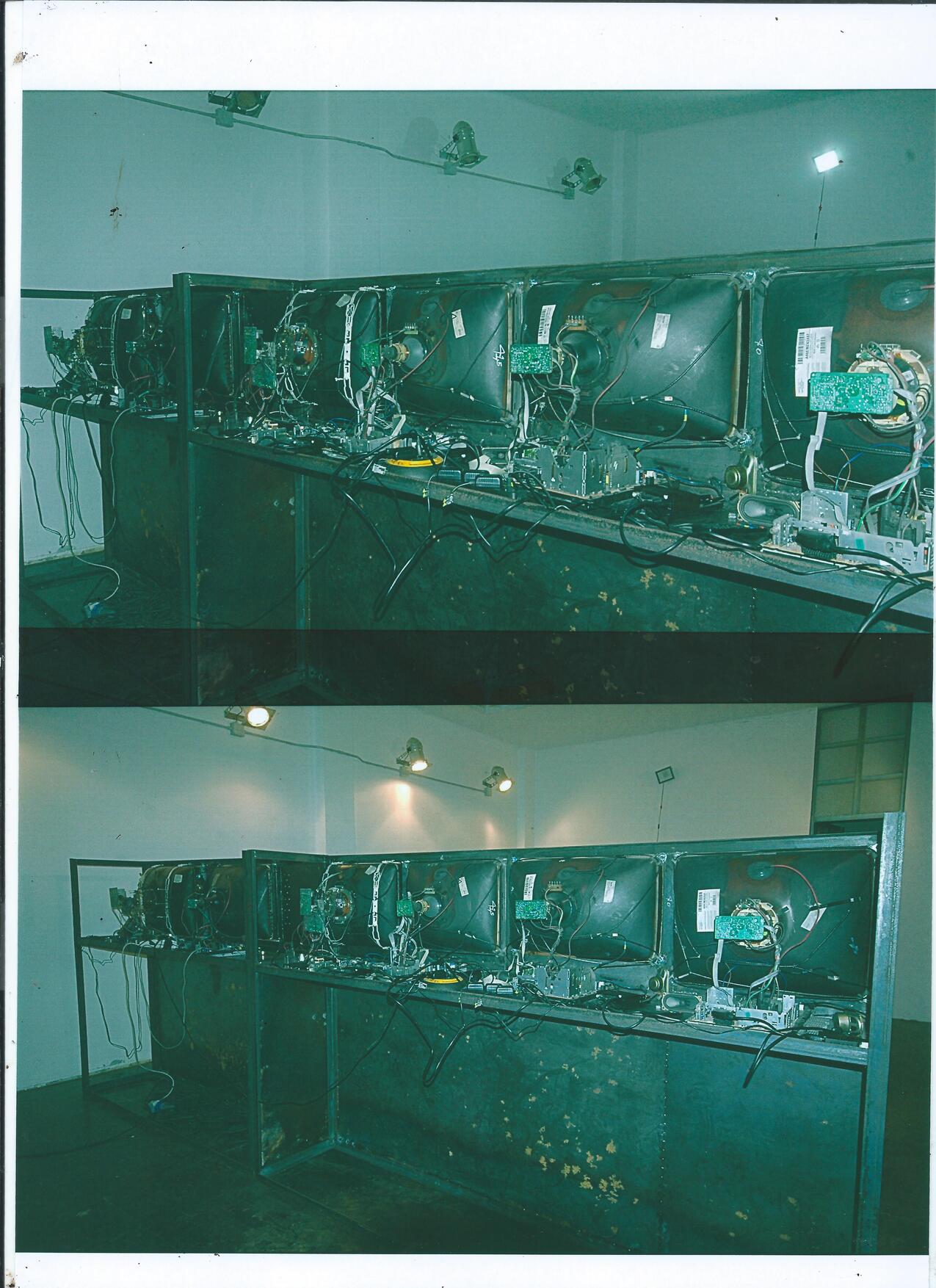 Collezione Nancy Delroi, Genetic Exhibition