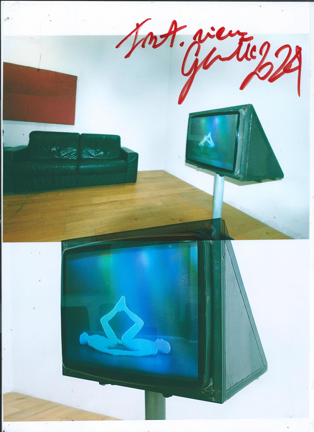 Collezione Nancy Delroi, Genetic Exhibition