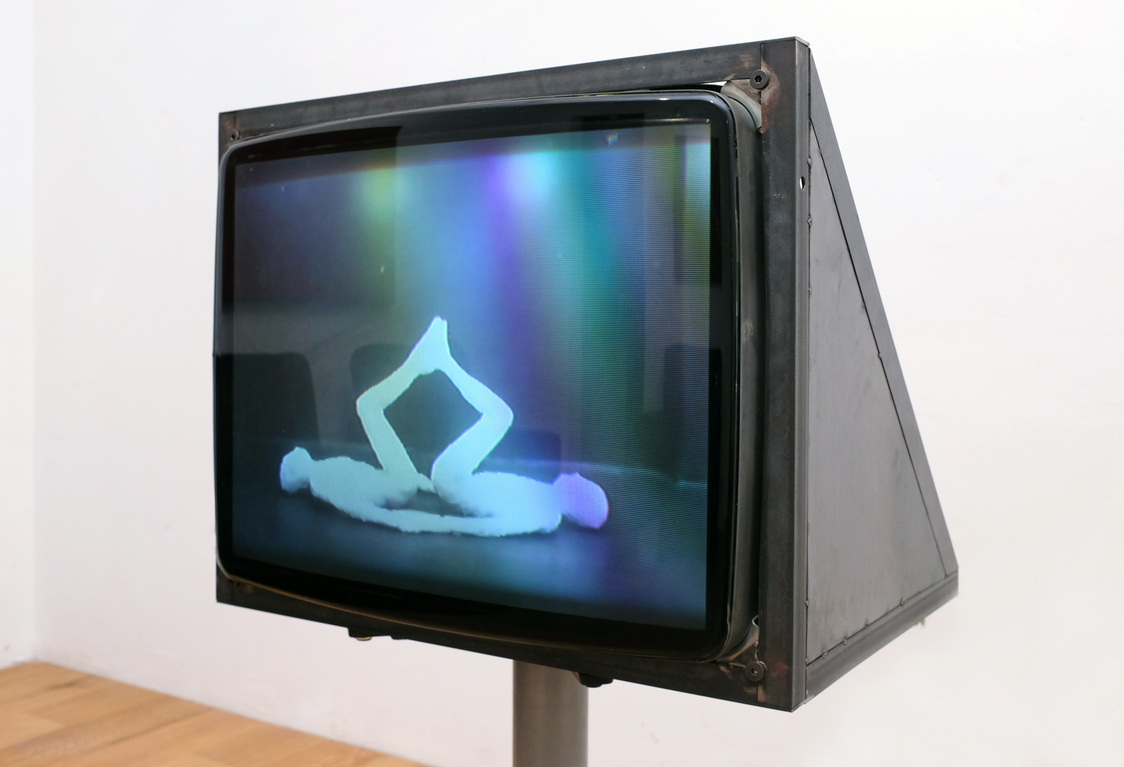 Collezione Nancy Delroi, Genetic Exhibition