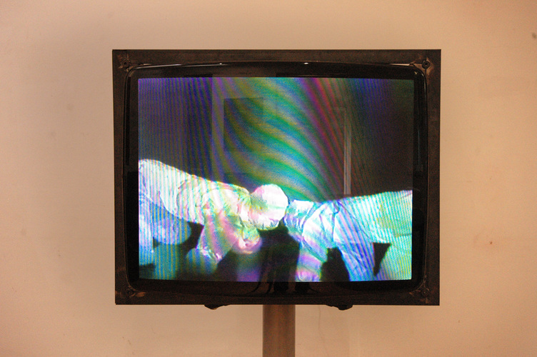 Collezione Nancy Delroi, Genetic Exhibition