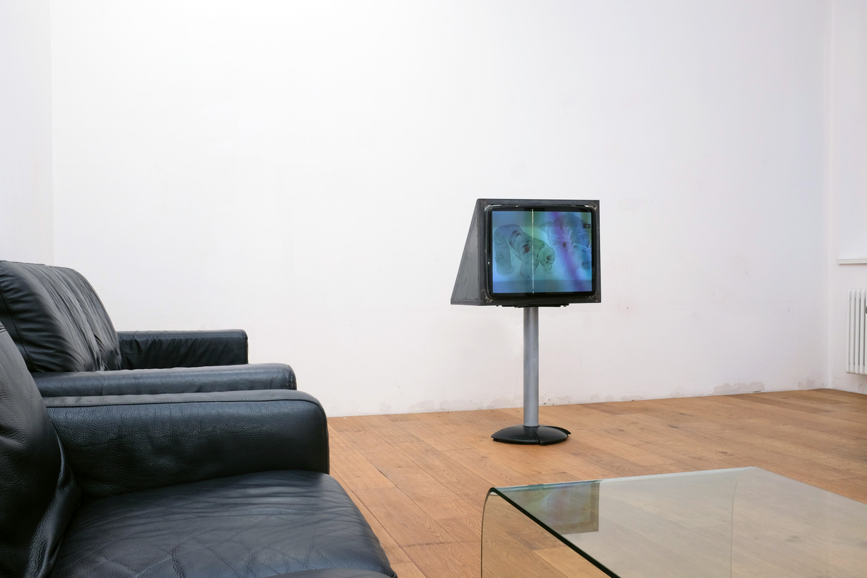 Collezione Nancy Delroi, Genetic Exhibition