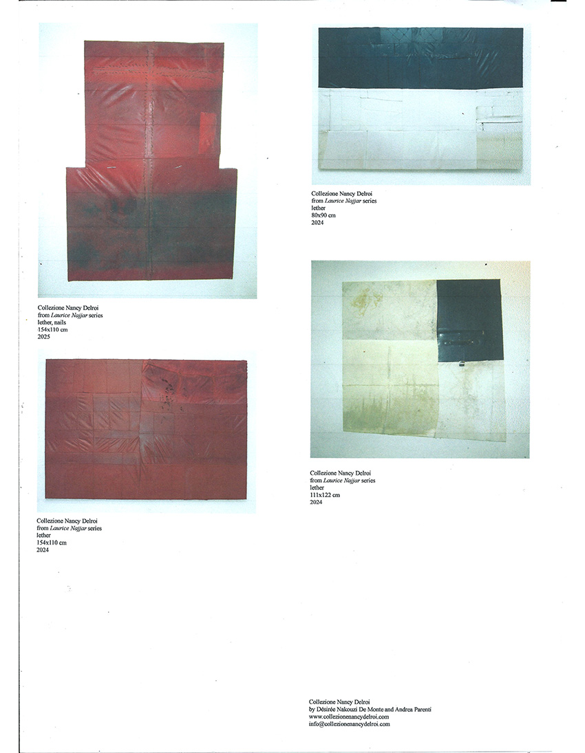 collezione_nancy_delroi_presentazione