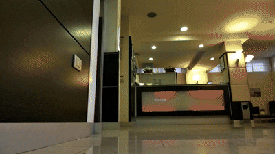 Descrizione GIF